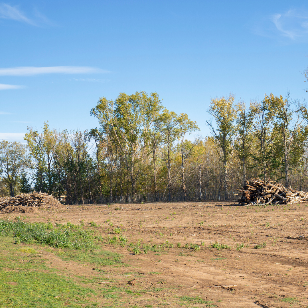 Land clearing in Shreveport