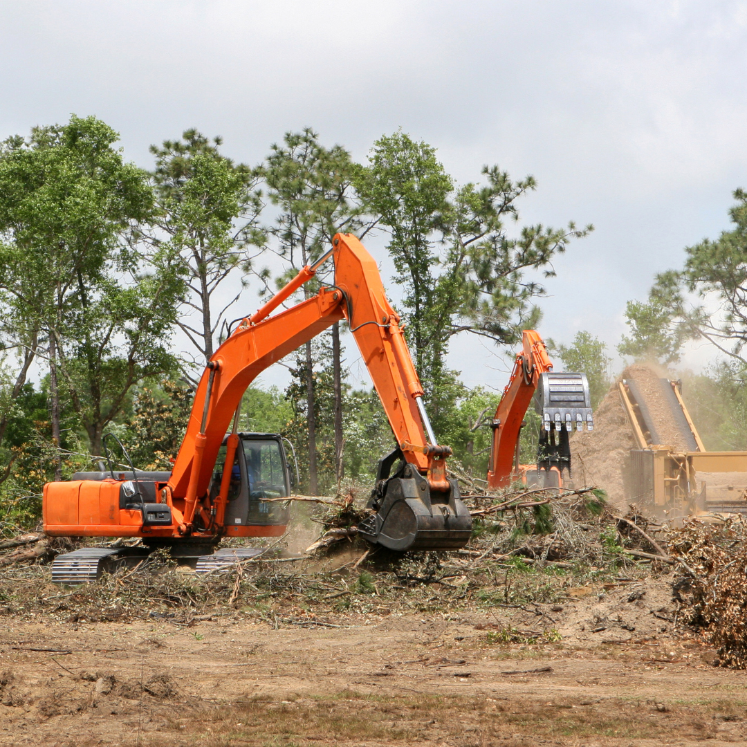 Land clearing project in Shreveport